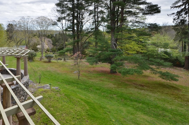 7 Old Depot Rd, Chester, CT 06412 - view of grassy yard