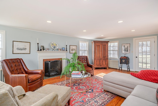 living room with radiator heating unit and light wood-type flooring