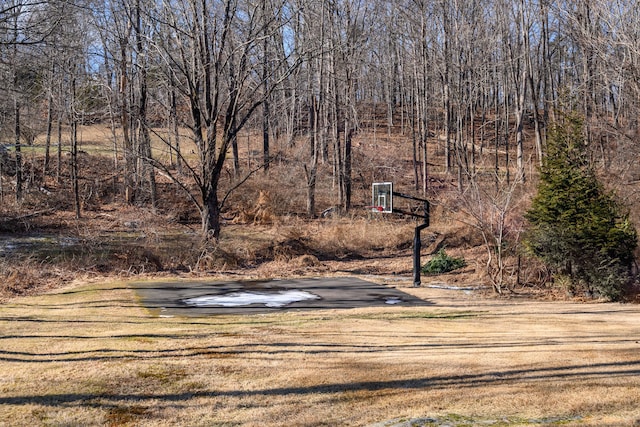 view of basketball court