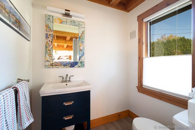 bathroom with vanity, toilet, wood-type flooring, and a wealth of natural light