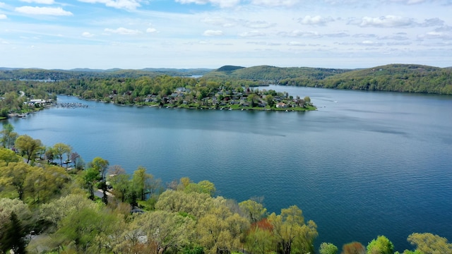 water view with a forest view