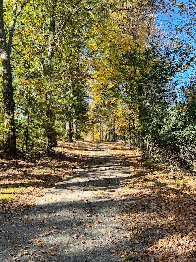 view of road