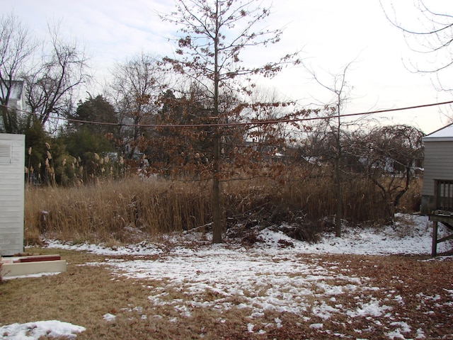 view of yard layered in snow