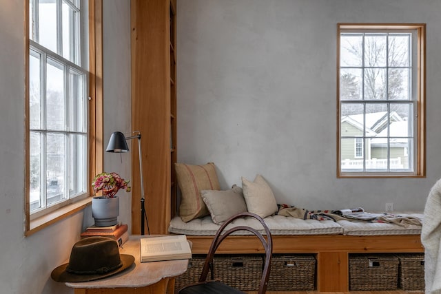 living area featuring plenty of natural light