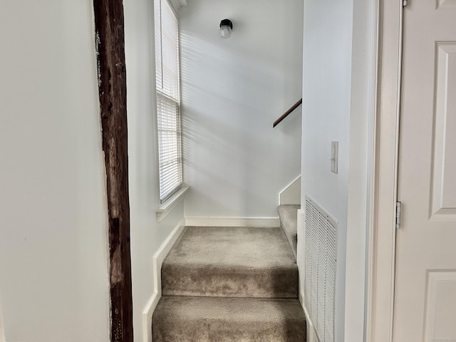 stairway with carpet flooring