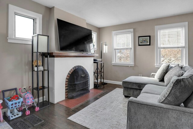 living room featuring dark hardwood / wood-style floors