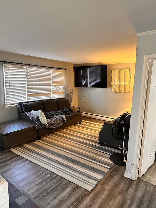 living room featuring a baseboard radiator and hardwood / wood-style floors