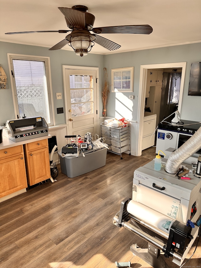 kitchen featuring ceiling fan, plenty of natural light, and dark wood-type flooring