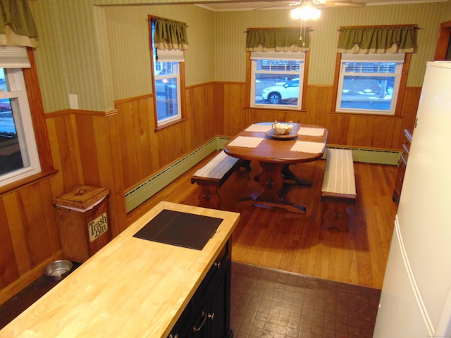 dining room featuring ceiling fan, plenty of natural light, and a baseboard radiator