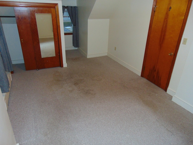 additional living space featuring light carpet