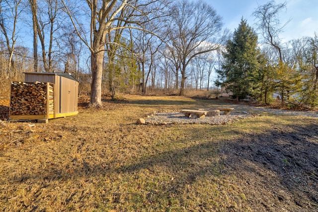 view of yard with a shed