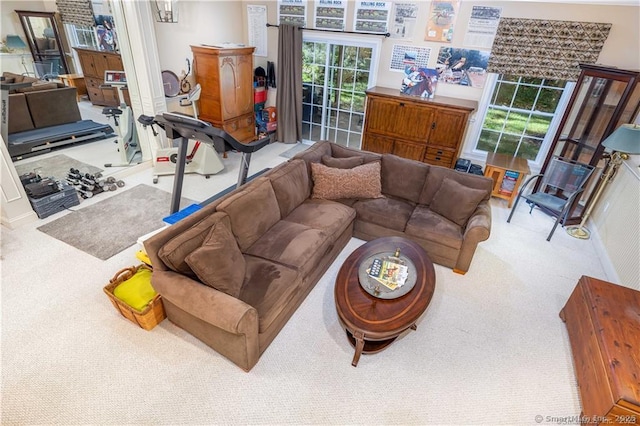 living room with carpet floors