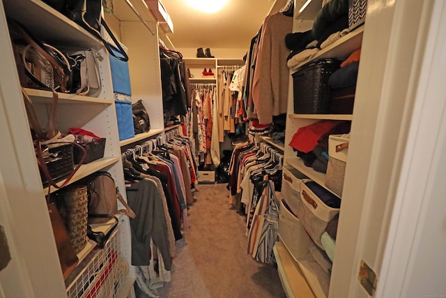 spacious closet featuring carpet floors