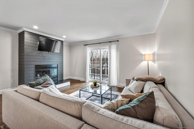 living room featuring a large fireplace, crown molding, and hardwood / wood-style flooring