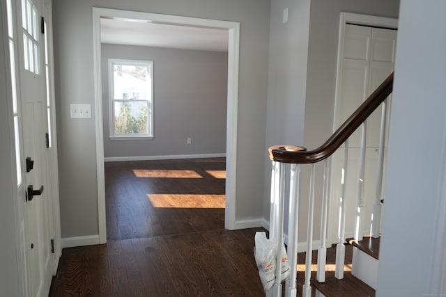 entryway with dark hardwood / wood-style floors