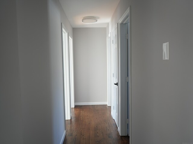 corridor featuring dark wood-type flooring