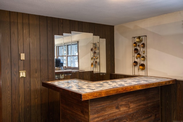 bar with wooden walls and dark brown cabinetry