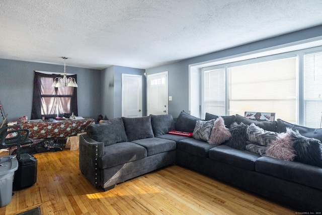 living room with hardwood / wood-style flooring and a textured ceiling