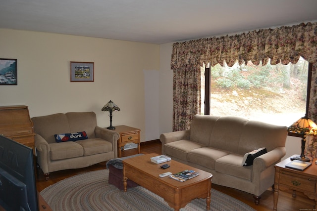 living room with hardwood / wood-style flooring