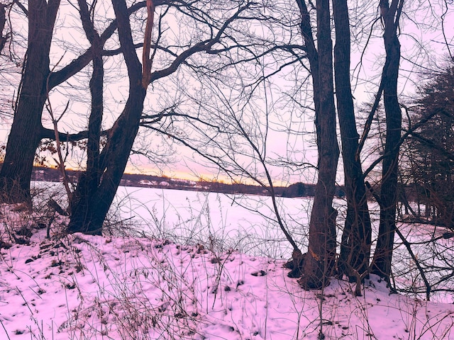 nature at dusk with a water view