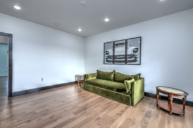 living room with hardwood / wood-style flooring