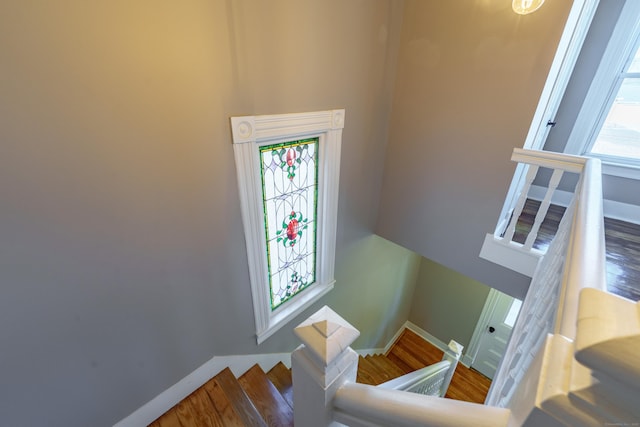 stairs with hardwood / wood-style flooring