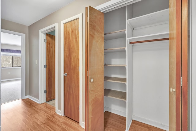 view of closet