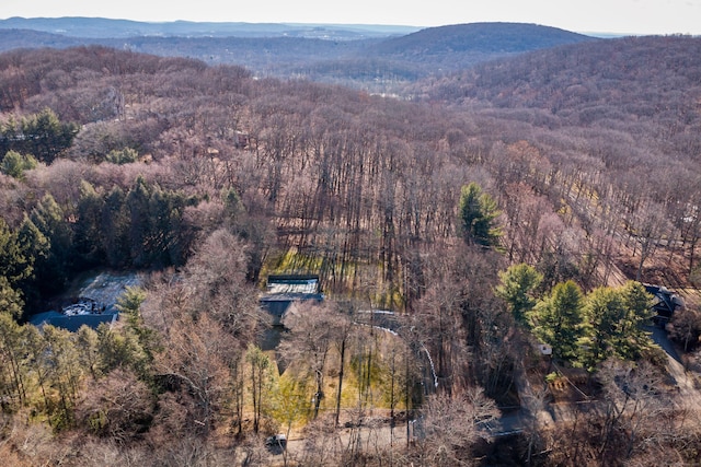 aerial view with a mountain view