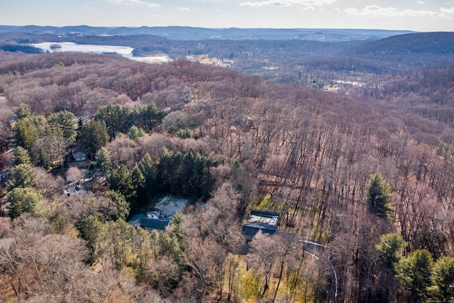 drone / aerial view featuring a mountain view