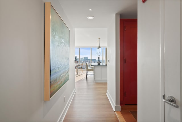 hallway with floor to ceiling windows and light wood-type flooring