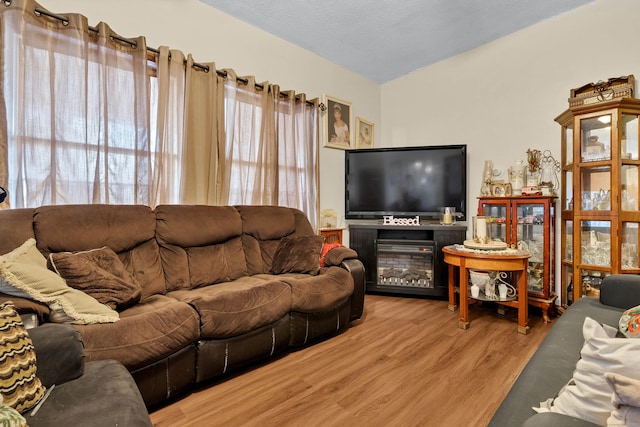 living room featuring lofted ceiling, a textured ceiling, and wood-type flooring