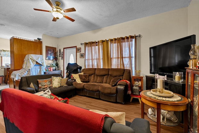 living room featuring ceiling fan, a textured ceiling, and light hardwood / wood-style flooring