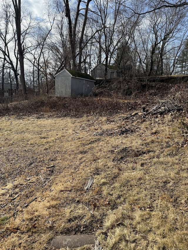 view of yard featuring an outbuilding