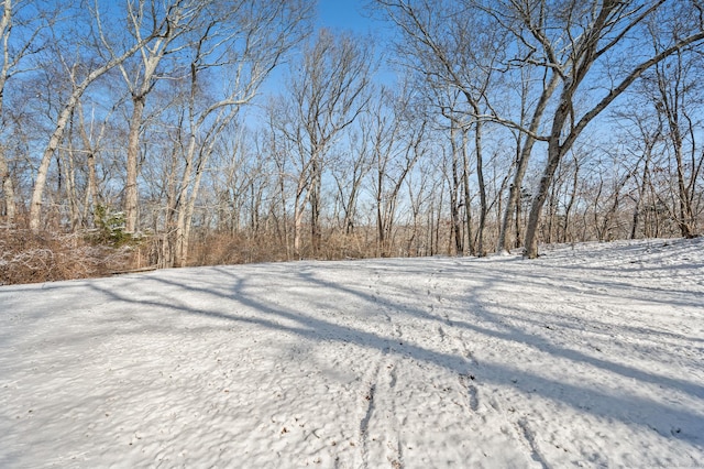 view of yard covered in snow