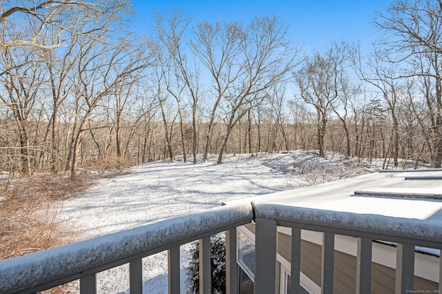 view of yard covered in snow