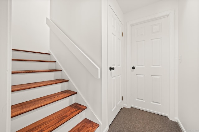 stairs featuring carpet