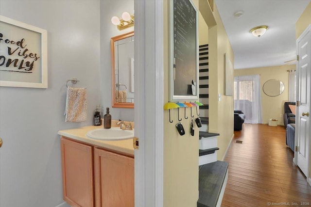 bathroom featuring wood-type flooring and vanity