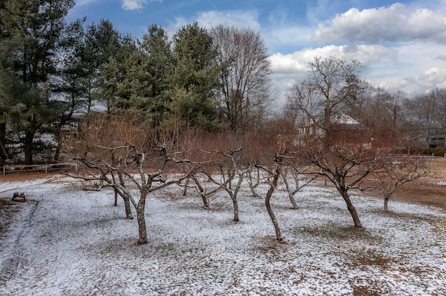 view of snowy landscape