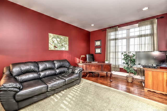 living room featuring wood-type flooring