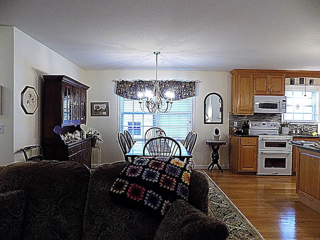 dining room with plenty of natural light, an inviting chandelier, and dark hardwood / wood-style floors