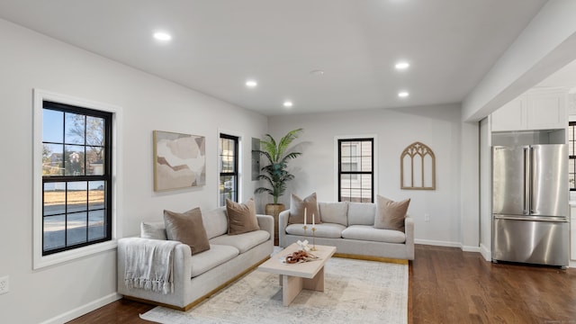 living room with dark wood-type flooring