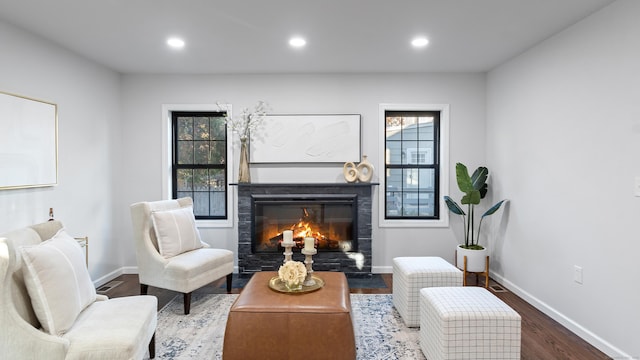 sitting room featuring hardwood / wood-style floors