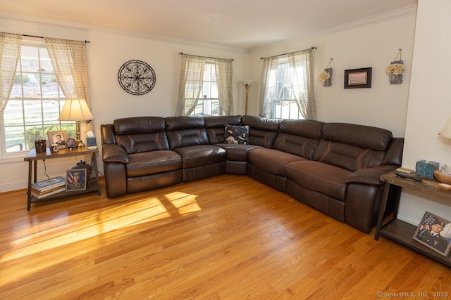 living room with wood finished floors and crown molding