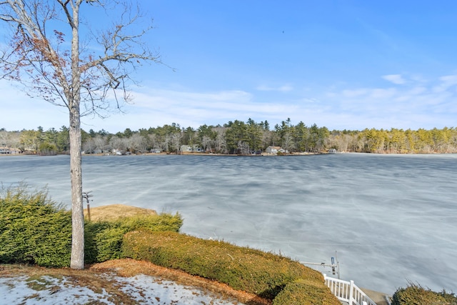 view of water feature with a view of trees