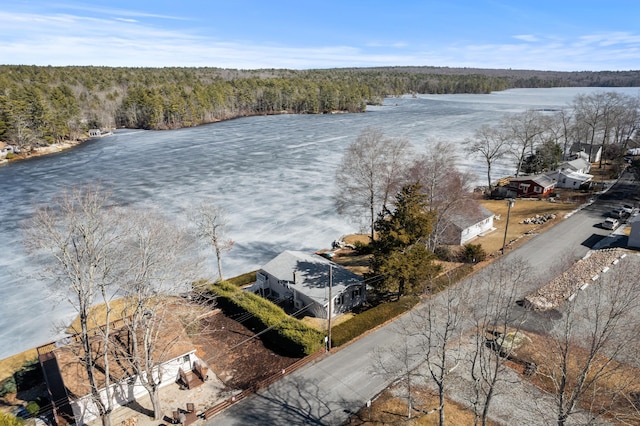 bird's eye view with a water view and a view of trees