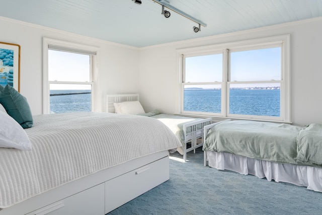 carpeted bedroom with crown molding, track lighting, and a water view