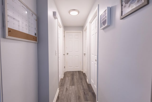 hall featuring dark wood-type flooring