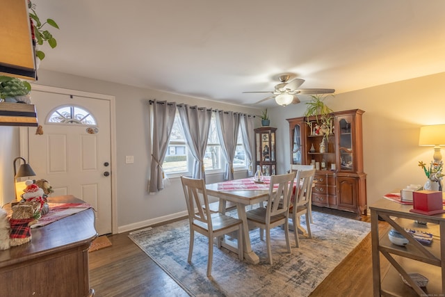 dining room with ceiling fan and dark hardwood / wood-style floors