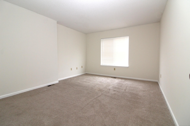 spare room with carpet floors