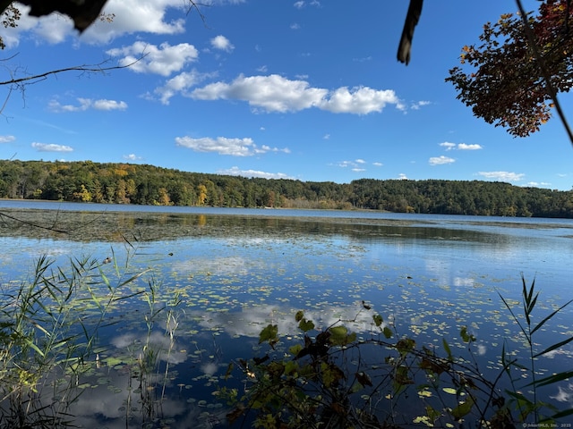 water view